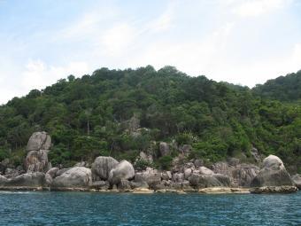 land for sale on KOhtoa Koh Tao