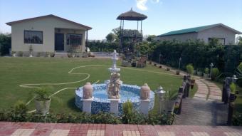 green beauty farms Noida