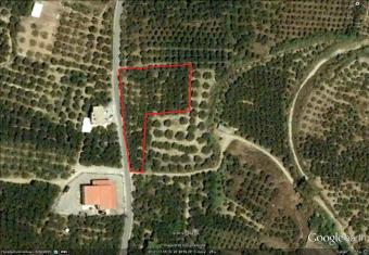 For sale or co-development plot Chania
