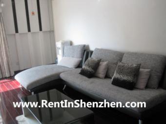Development Apartment FuTian CBD Shenzhen