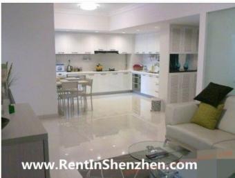 Luxury Shenzhen Apartment for re Shenzhen