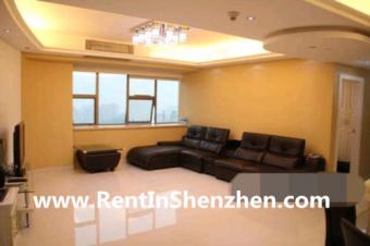 Shenzhen Apartment FuTian CBD/5m Shenzhen