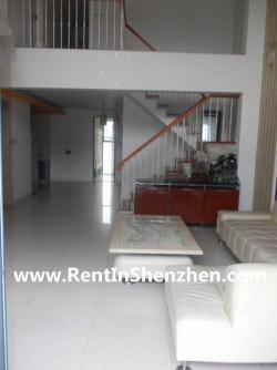 Shenzhen Apartment Rent/NanShan, Shenzhen