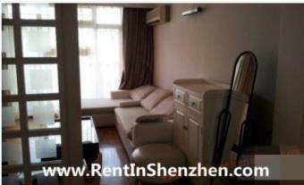 Western style,90sqm,3BR,4300RBM, Shenzhen