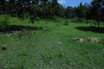 LAND FOR SALE. Kikambala