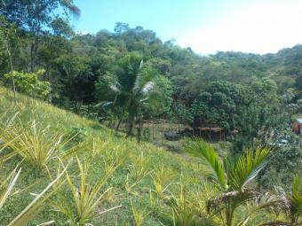 13 ACRE AGRICULTURAL HOME SITE Cayo District