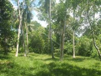 SUPERB LAND IN KEGALLE Kegalle