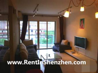 Shenzhen Futian top apartment/90 Shenzhen