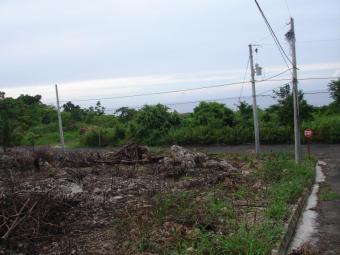 Land selling in St Mary Saint Mary`s