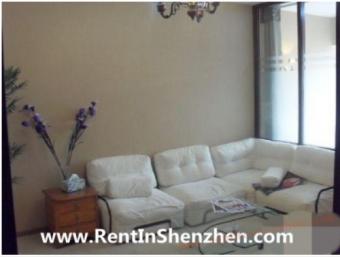 Shenzhen FutianCBD top apartment Shenzhen