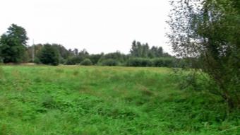 Land for any purpose Jelgava