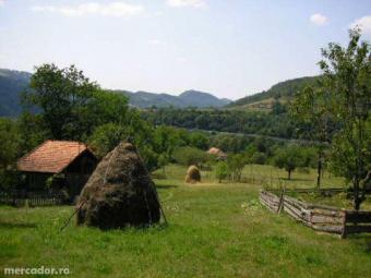 Plot of land Cepari Păm�nteni Cepari Păm�nteni