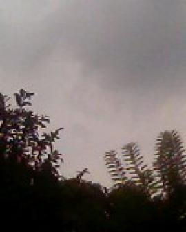 Plot of land Colombo 7 Colombo 7