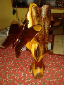 Business San Jos� San Jos�