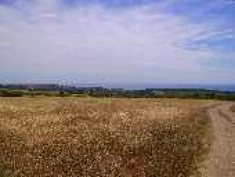 Land with sea view Varna