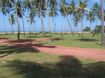 BEACH LAND SALE Waikkala