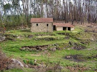 2 Buildings with 5 acres of land Carragal Do Sal