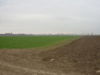 sell field Braila