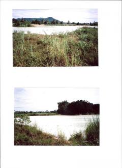 48 rai of land with lakes Ban Chang