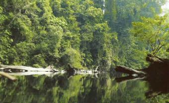 CHEAPEST ON SALE BINTAN ISLAND Toapaya, Bintan Island