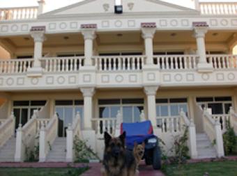 Compound in Dahab Dahab