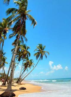 goa bungalows/resorts Goa