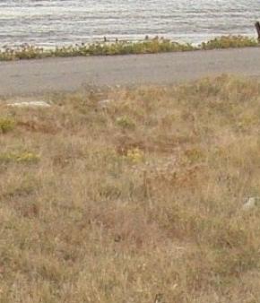 land for sale Tilos