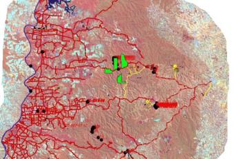 livestock fields and forest Posadas