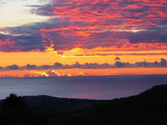 amazing property for sale Woolgoolga