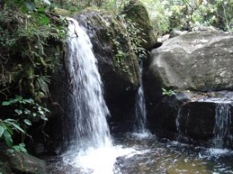 Be Closer to Nature Kandy