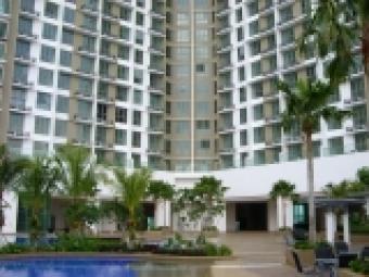 Tropics for Rent Pj