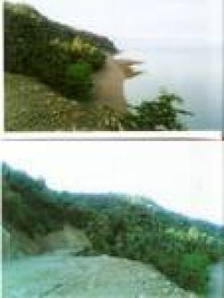 BEACH RESORT WITH WATER FALL Babatngon