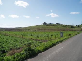 House in 60000m. Views. Organic Jerez De La Frontera