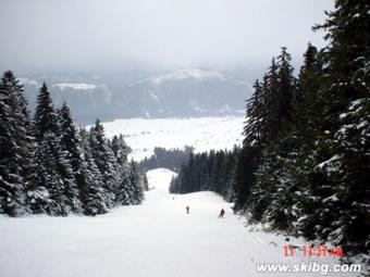Parcels in Rila Mtn. - 2300 Sq.M Govedartzi