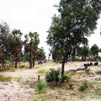 LAND FOR SALE AT KALPITIYA Kalpitiya