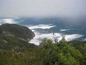 80 HA FOR SALE, CHILOE ISLAND Ancud