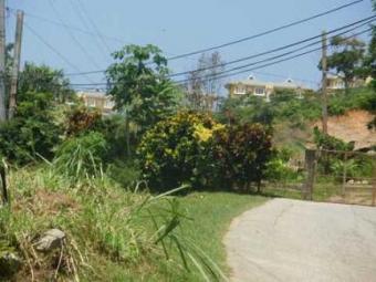 Blanchisseuse 8 acres Blanchisseuse