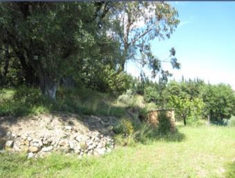 Beautiful land southern expos Vence