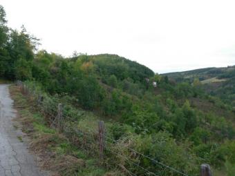 Property on Zlatibor Zlatibor