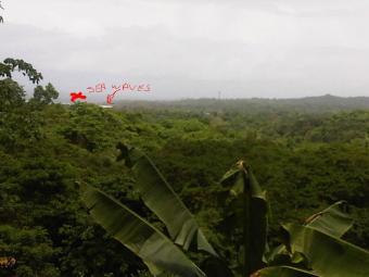 Panoramic View,20 Acres Toco Toco