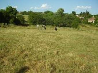 NERAIDES RURAL SIDE LAND Kalovo