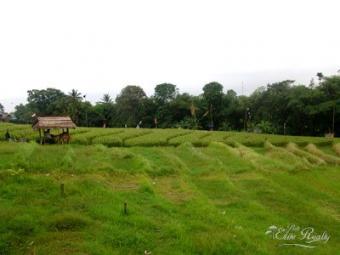 20 are land near echo beach Bali