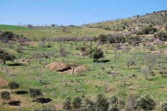 200044-spain-malaga-finca Casabermeja