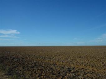 66000 ha farm soy beans Brazil Piaui