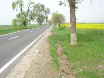 Urgent 30,000 sqm plot Giurgiu