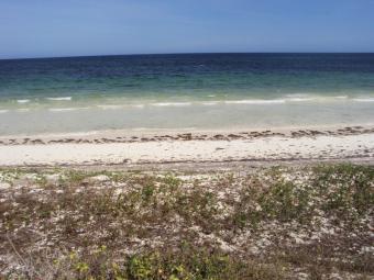5 acres beach plot Bofa Kilifi Kilifi Bofa