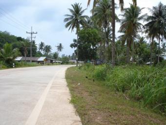 Flat Roadside Land Plot Ko Lanta Yai