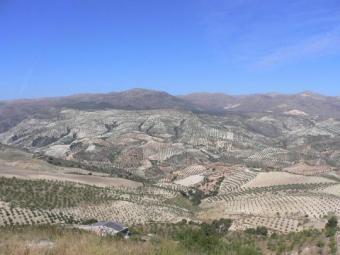 ref 1585- between Granada and Ma Granada
