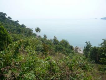 Land for sale at Thong Nai Pan Koh Pha Ngan