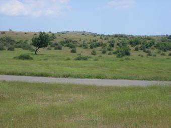 Dream Bulgarian Property Sunny Beach